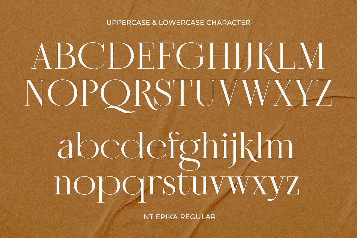 NT Epika, a Serif Font by nevsky.type (Photo 2 of 10)