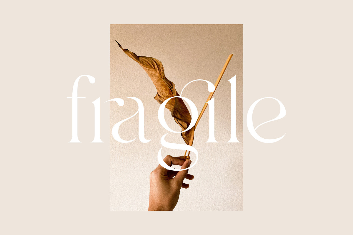 Branch - Modern Ligature Serif, a Serif Font by Sans & Sons (Photo 10 of 11)