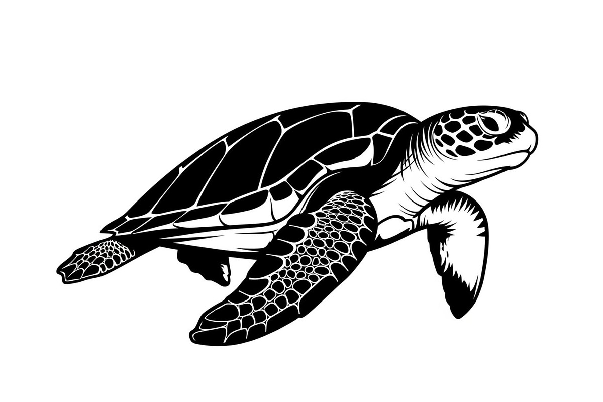 50 Sea Turtle Vector Silhouette Bund, an Illustration by jahid234 (Photo 50 of 51)