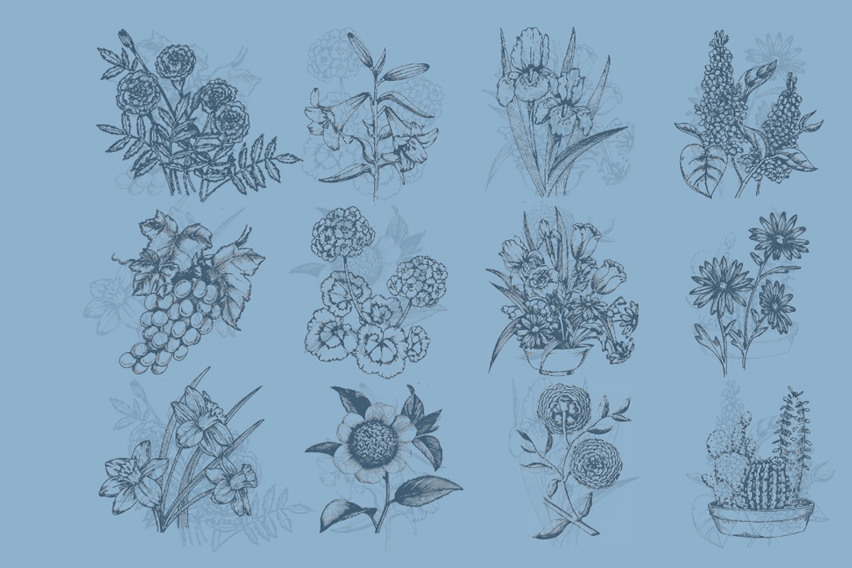 25 Vintage Flora Illustrations, an Illustration by Alpha Mike Foxtrot (Photo 2 of 5)