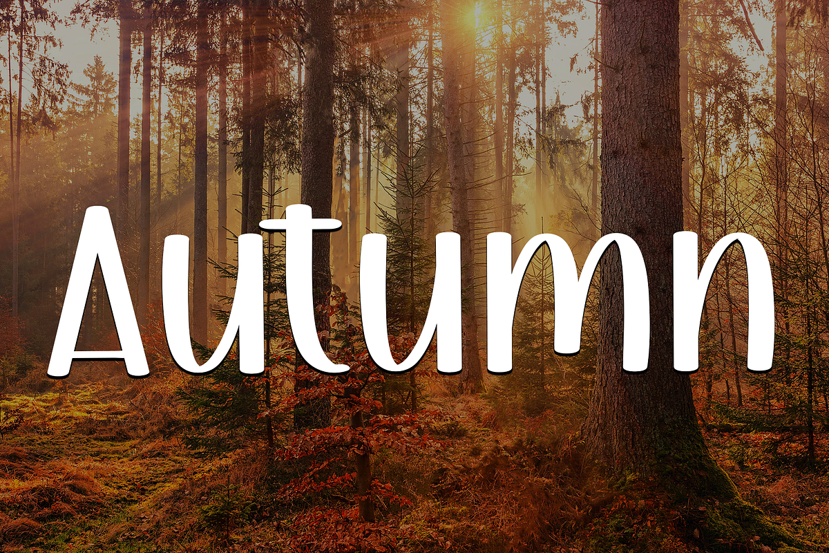 Holiday, a Script Font by InermediaSTUDIO (Photo 7 of 7)