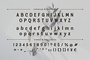 Magnes - A Display Serif Font, a Sans Serif Font by Almeera Std (Thumbnail 4 of 10)