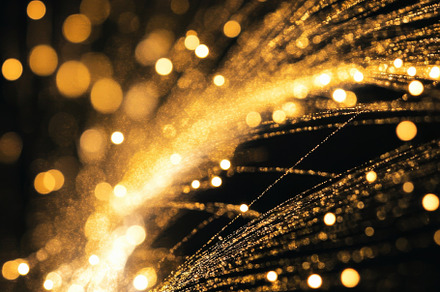 Abstract Golden Light Rays & Sparkle, a Background Photo by Virgo Studio