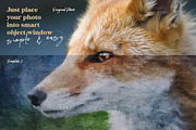 SALE The Ultimate Paint Creator, a Brushes & More by Cruzine (Thumbnail 16 of 47)