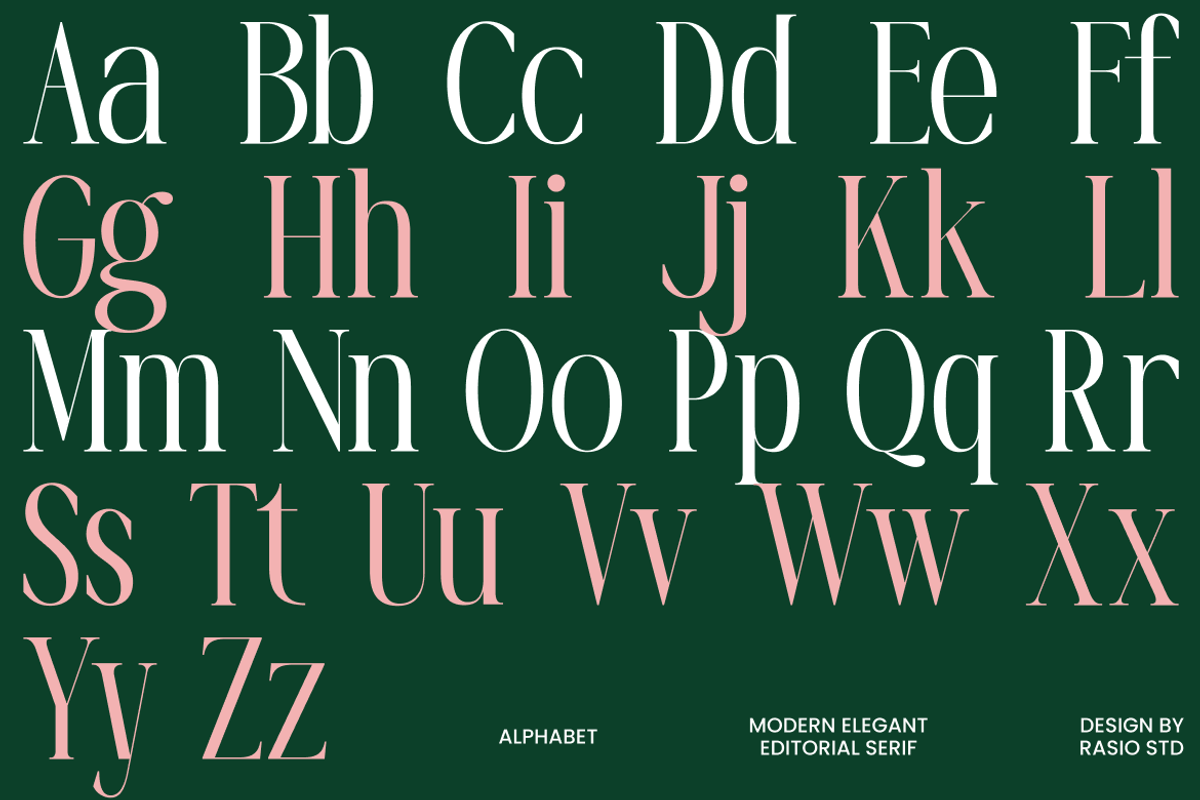 La Carena Modern Elegant Serif Font, a Serif Font by Rasio Studio (Photo 2 of 9)