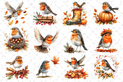 Watercolor Robin Birds Clipart, Fall, an Illustration by Dream Creation (Thumbnail 3 of 4)