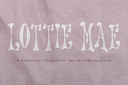 Lottie Mae Retro Display Font, a Handwritten Font by The October Creative (Thumbnail 1 of 8)
