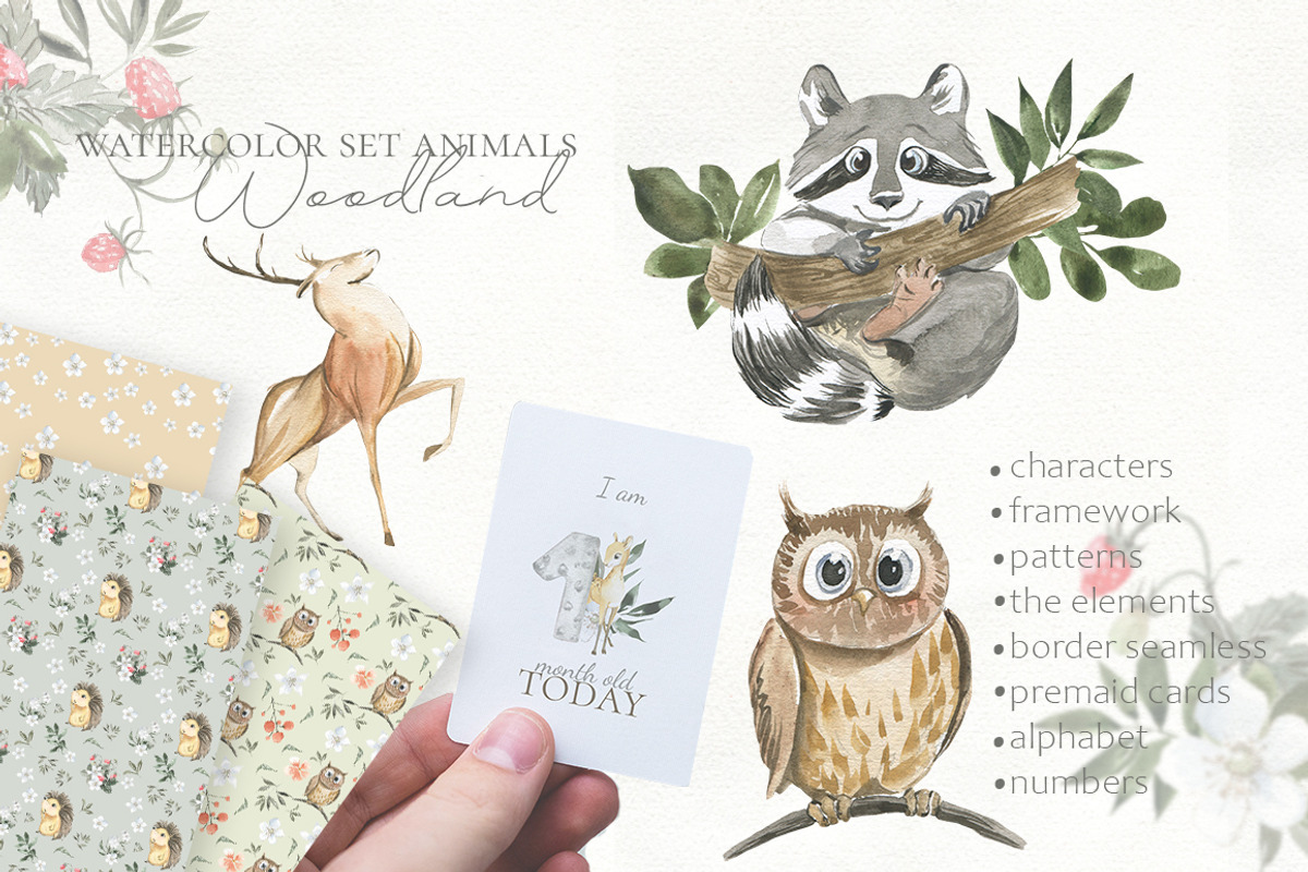 Woodland animal watercolor set, an Animal Illustration by Love Watercolor Store (Photo 15 of 15)