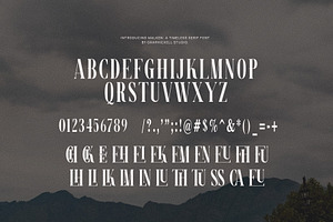 Malken Elegant Ligature Serif Font