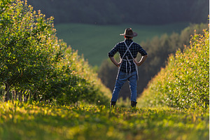 A mature farmer walking outdoors in, a Person Photo by HalfPoint