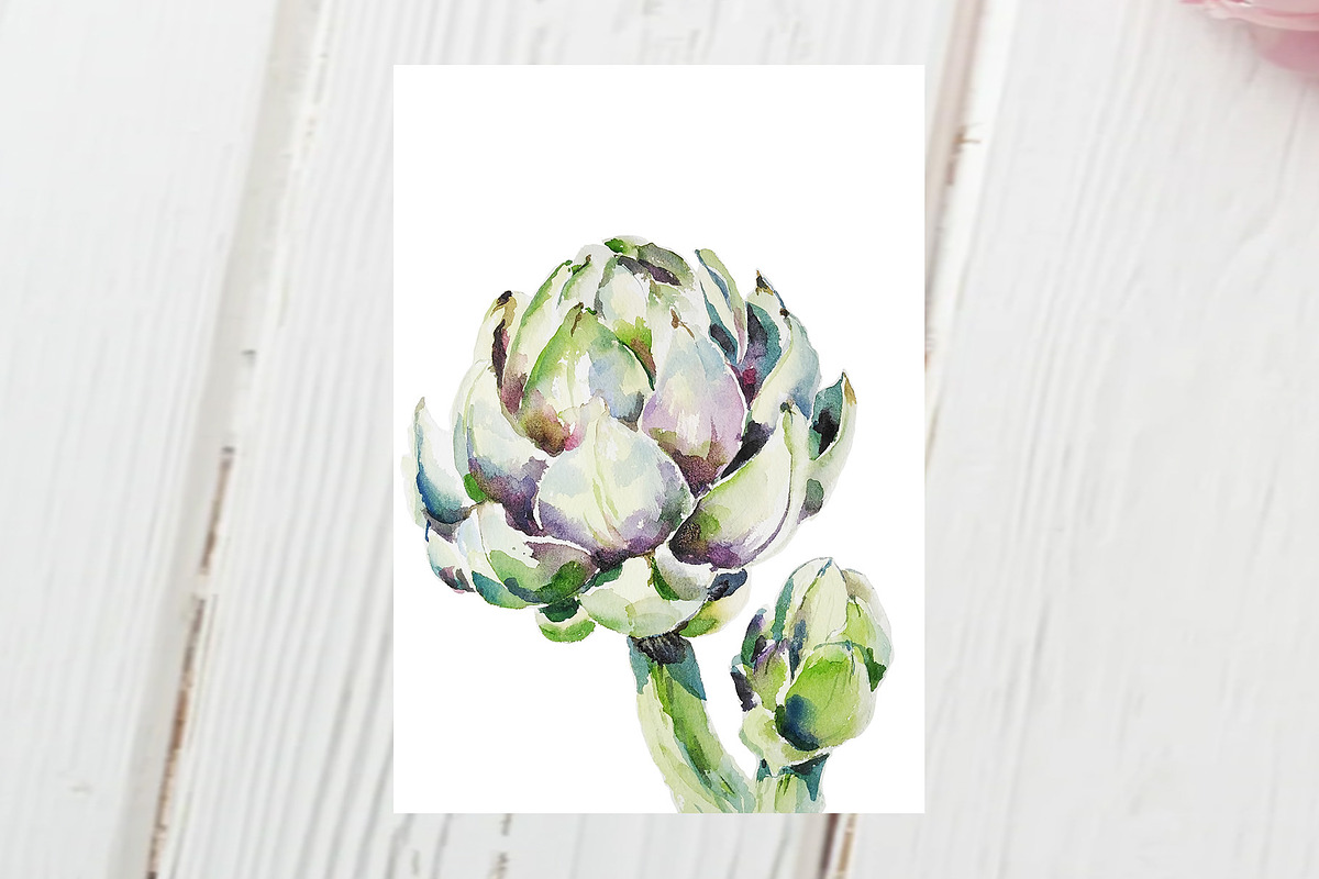 Artichoke watercolor illustration, an Object Illustration by Art pages (Photo 2 of 3)