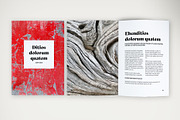 Visual Impact Template, a Print Template by McLittle Stock (Thumbnail 4 of 4)