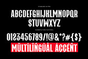 Prisma Modern Slab Serif Serif, a Slab Serif Font by Perfectype (Thumbnail 7 of 7)