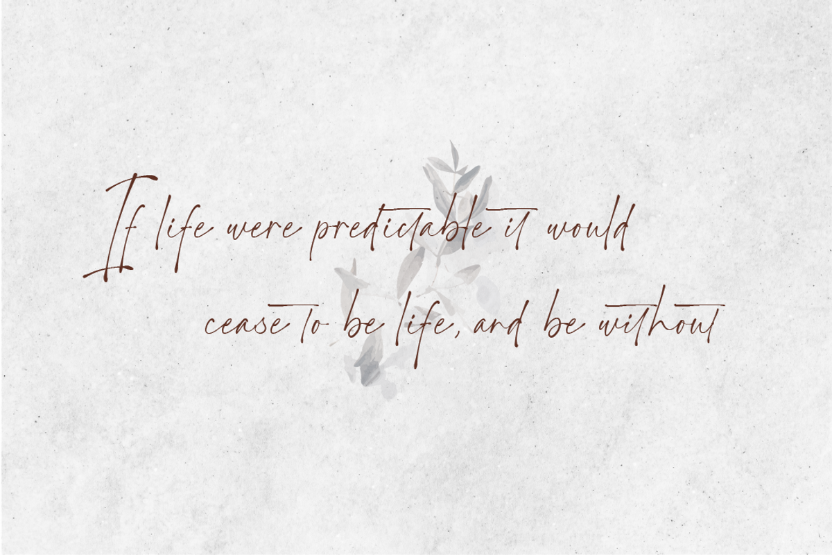 Manhattan Signature | Signature Font, a Script Font by Moove Studio (Photo 3 of 12)