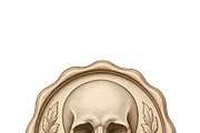 ETARA Samhain Ritual Kit, a Decorative Illustration by ETARA by Mea Hau (Thumbnail 34 of 80)