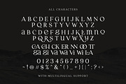 Laginchy - Quirky Serif, a Serif Font by Sarid Ezra (Thumbnail 8 of 11)