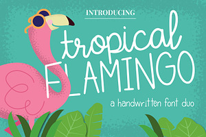 Tropical Flamingo Font Duo