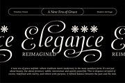 Dh Finola - 7 Elegant Serif Fonts, a Serif Font by Dharmas Foundry (Thumbnail 10 of 14)
