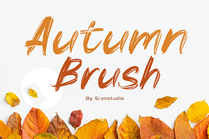 Autumn Brush Font, a Handwritten Font by Sronstudio
