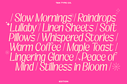 TAN-EDITION, a Sans Serif Font by TanType (Thumbnail 6 of 10)