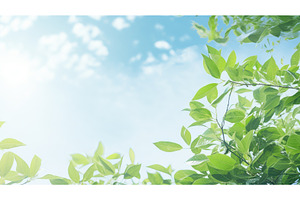 abstract fresh leaf wallpaper, a Nature Photo by pikepicture