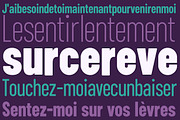 ZT Floogn, a Sans Serif Font by zelow type (Thumbnail 6 of 15)