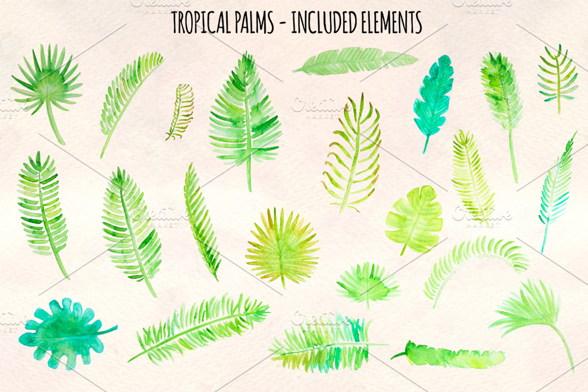 Tropical Palm Leaves Watercolor, a Seasonal Illustration by Violet LeBeaux (Photo 2 of 3)