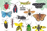 Insects Alphabet & clipart, an Animal Illustration by Visual Animal (Thumbnail 2 of 5)