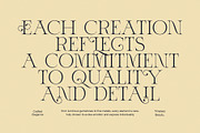 Astro Modern Serif Font, a Serif Font by Elegant Font (Thumbnail 4 of 7)