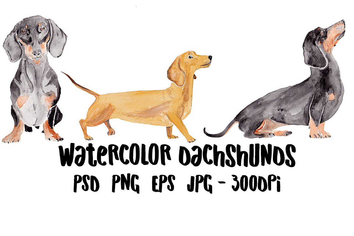 Dachshund Illustration Bundle, an Illustration by Foxery Digital (Photo 1 of 7)
