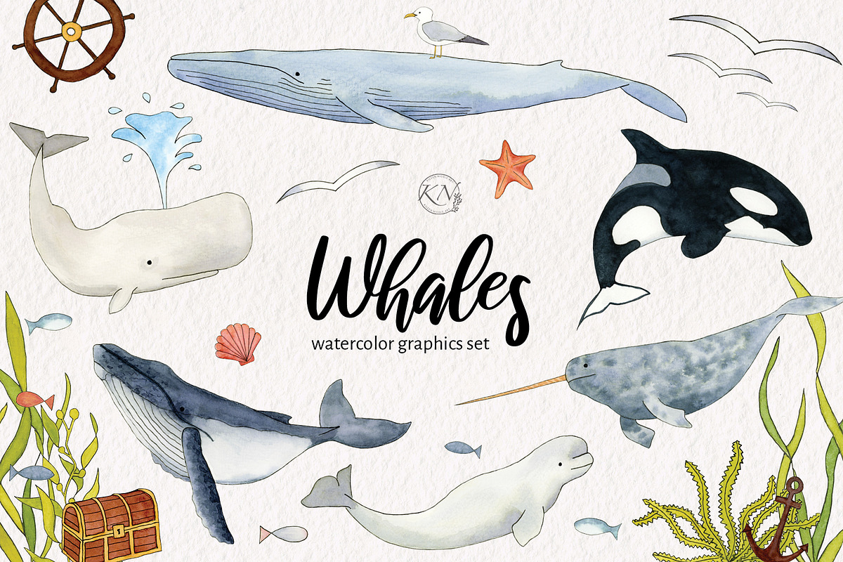 Watercolor Whales Graphics, an Illustration by Kileen Nicole Art (Photo 1 of 5)