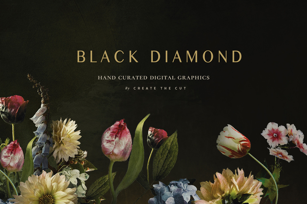 Black Diamond - Digital Graphics, an Illustration by Create The Cut (Photo 5 of 14)
