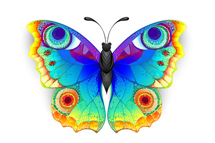 Rainbow Butterfly Peacock Eye, a Texture Illustration by blackmoon9