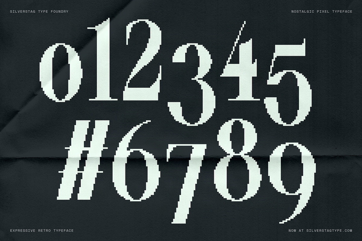 The Silver Editorial Pixel Version, a Serif Font by SilverStag Type Foundry (Photo 11 of 20)
