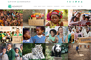Nonprofit Charity WordPress Theme, a WordPress Template by Visualmodo (Thumbnail 19 of 23)