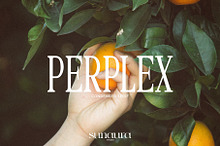 PERPLEX - Condensed Serif Typeface