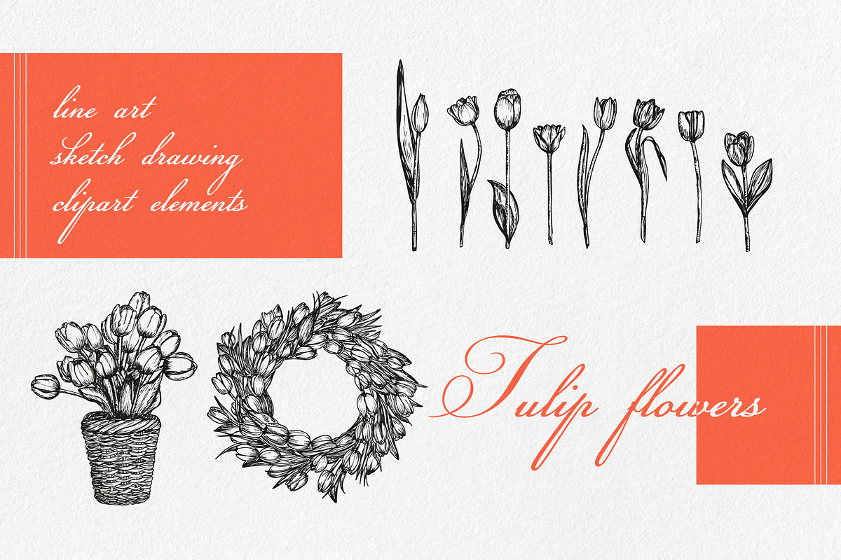 Tulip Line Art Sketch Clipart Set, a Decorative Illustration by LiiaLonn Studio (Photo 2 of 5)