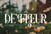 Aslin Alodian | Modern Display Serif, a Serif Font by Denustudios (Thumbnail 12 of 15)