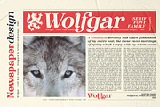 Wolfgar - Serif Font Family, a Serif Font by Artistic & Unique (Thumbnail 11 of 15)