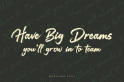 Darkline / Brush Script Font, a Script Font by Subectype Studio (Thumbnail 6 of 12)