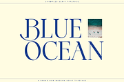 Champles A Modern Serif Typeface, a Serif Font by Comactype Foundry (Thumbnail 4 of 20)