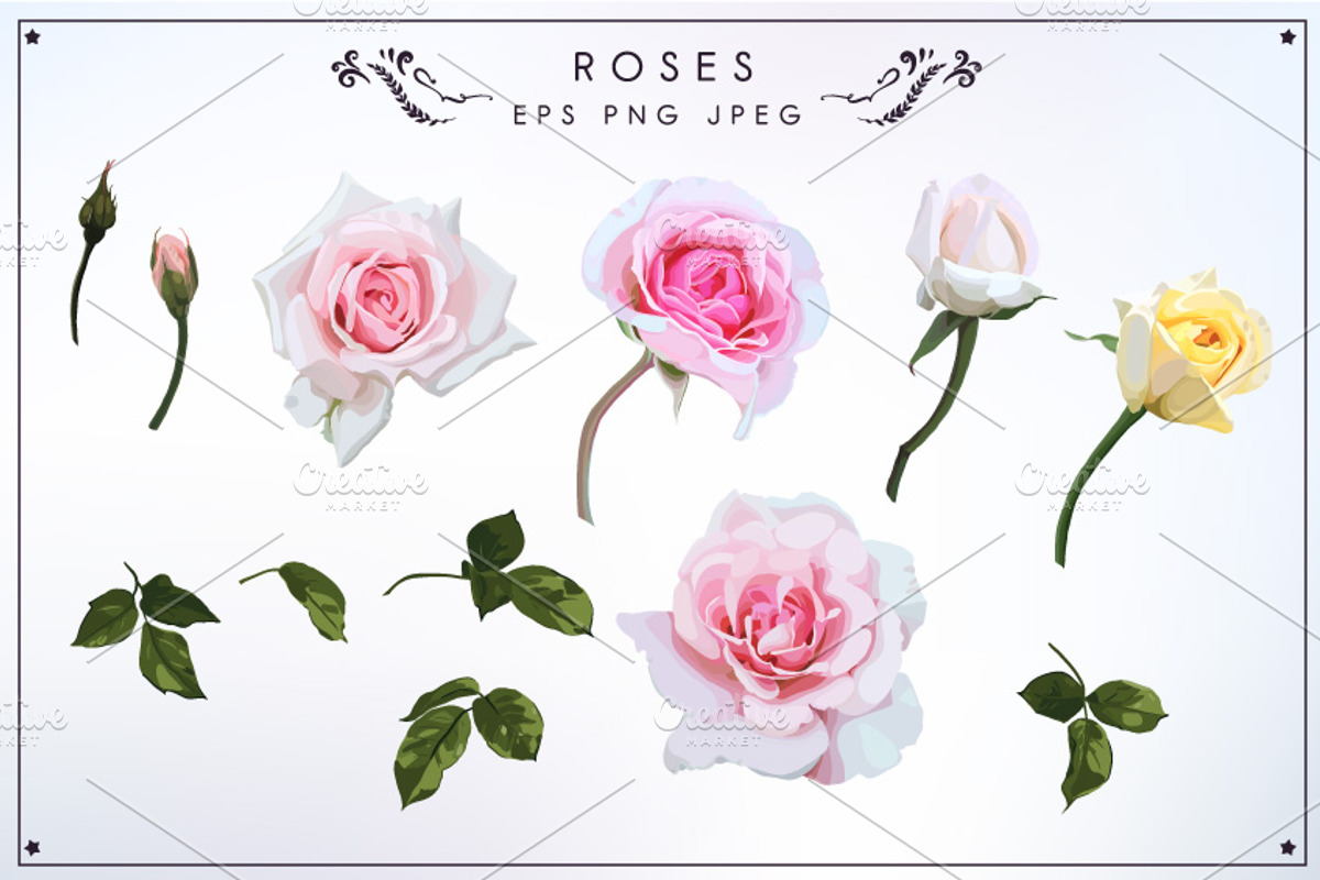 Roses set PNG EPS, a Decorative Illustration by ollalya (Photo 2 of 2)