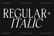 Horge A Display Serif Font, a Serif Font by Storytype Studio (Thumbnail 5 of 16)