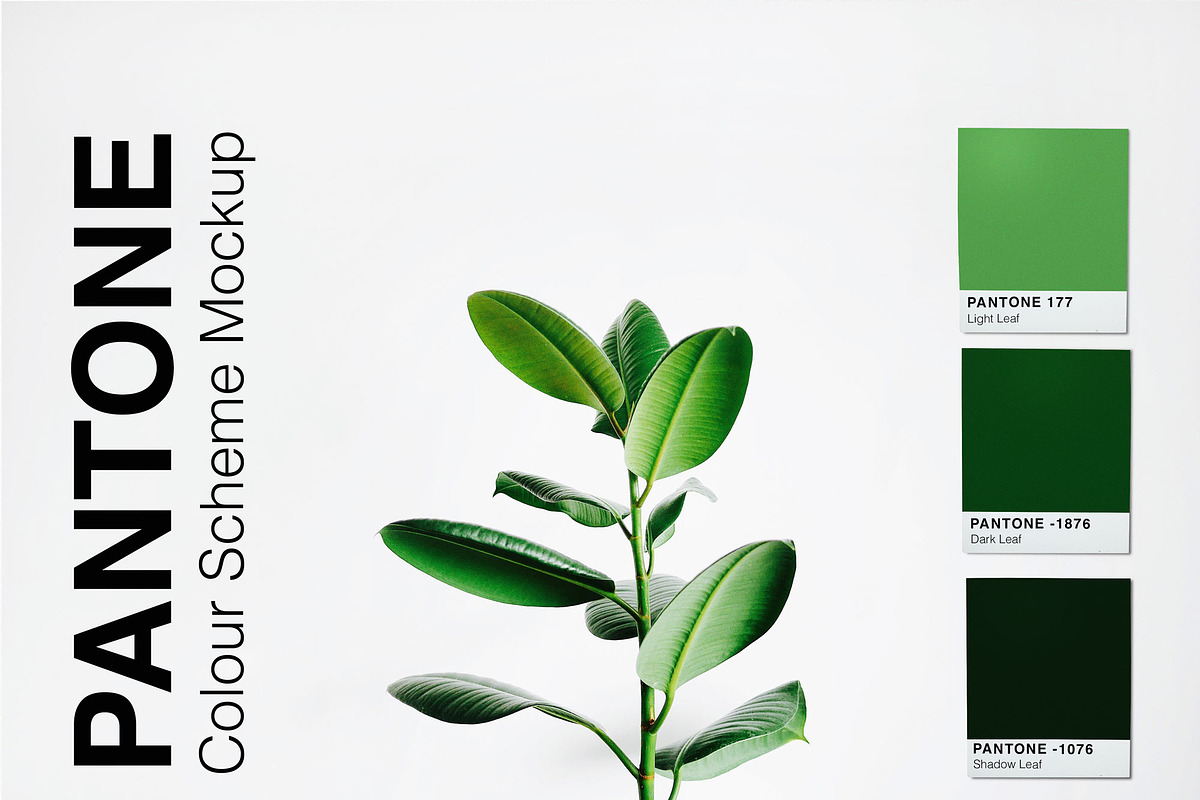 Pantone Colour Scheme Mockup, a Wearable Device Mockup by Tropical Type (Photo 4 of 6)
