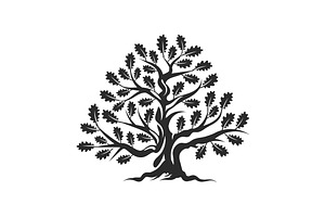 Isolated vector oak tree illustratio