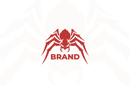 Spider Logo Design