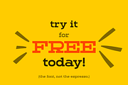 Dried Plums - Display Font, a Serif Font by Suolahti Type (Thumbnail 11 of 11)