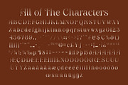 Angeris Halfpixel, a Serif Font by Craft Supply Co. (Thumbnail 8 of 8)