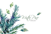 Pine Branches & Wreaths, an Illustration by Feather Grace Designs (Thumbnail 3 of 13)