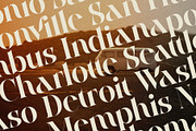 Raving Display Editorial Serif Font, a Serif Font by SilverStag Type Foundry (Thumbnail 9 of 30)